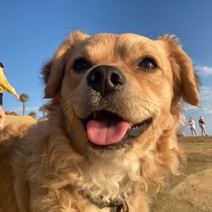 Meet your Posher, Elle